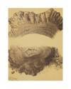 Muestra 4 de LECCIONES DE DIBUJO TOPOGRÁFICO CUAD 3 HOJA 2. ROCAS Y TERRENOS PEDREGOSOS (José M. De Riudavets) 1878. LIT