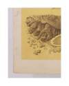 Contracubierta de LECCIONES DE DIBUJO TOPOGRÁFICO CUAD 3 HOJA 3. ROCAS Y TERRENOS PEDREGOSOS (José M. De Riudavets) 1878