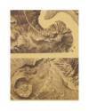 Muestra 4 de LECCIONES DE DIBUJO TOPOGRÁFICO CUAD 3 HOJA 4. ROCAS Y TERRENOS PEDREGOSOS (José M. De Riudavets) 1878. LIT