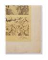 Muestra 1 de LECCIONES DE DIBUJO TOPOGRÁFICO CUAD 4 HOJA 3. VEGETACIÓN Y TERRENOS HÚMEDOS (José M. De Riudavets) 1878. L
