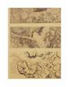 Muestra 4 de LECCIONES DE DIBUJO TOPOGRÁFICO CUAD 4 HOJA 3. VEGETACIÓN Y TERRENOS HÚMEDOS (José M. De Riudavets) 1878. L