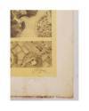 Muestra 1 de LECCIONES DE DIBUJO TOPOGRÁFICO CUAD 4 HOJA 5. VEGETACIÓN Y TERRENOS HÚMEDOS (José M. De Riudavets) 1878. L