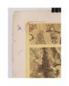 Muestra 2 de LECCIONES DE DIBUJO TOPOGRÁFICO CUAD 4 HOJA 5. VEGETACIÓN Y TERRENOS HÚMEDOS (José M. De Riudavets) 1878. L