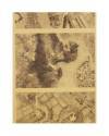 Muestra 4 de LECCIONES DE DIBUJO TOPOGRÁFICO CUAD 4 HOJA 5. VEGETACIÓN Y TERRENOS HÚMEDOS (José M. De Riudavets) 1878. L