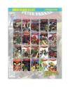 Muestra 1 de SPIDERMAN PETER PARKER 1 A 20. COMPLETA. Forum 2004