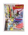 Cubierta de SPIDERMAN CLASSIC 1 A 16. COMPLETA. Forum 1993