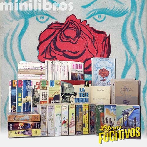 14/06/2023. MINILIBROS II